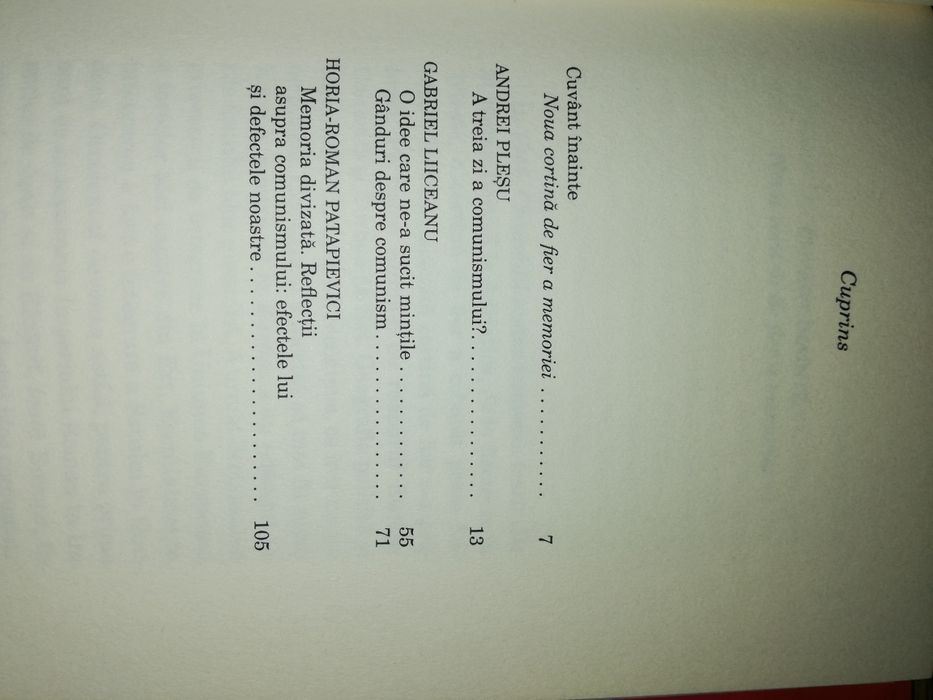 O idee care ne suceste mintile - Plesu, Liiceanu, Patapievici