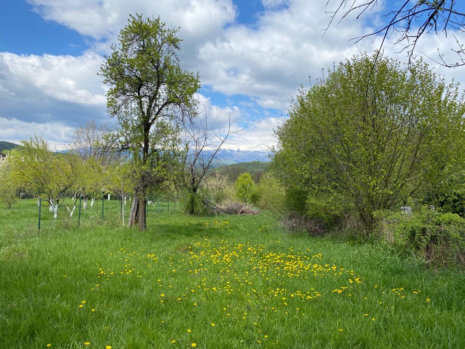 Teren intravilan 986 mp în Mărcuși – Câmpulung Muscel | vedere superbă spre munți | ideal casă de vacanță / retreat