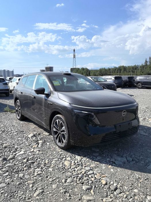 Dongfeng‑Nissan NX8 310  Max