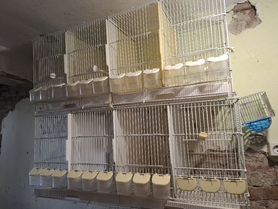 Клетки за птички