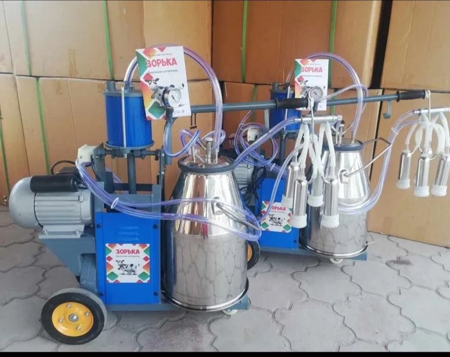 Ресейде эротика ауыр