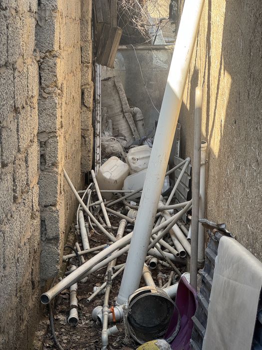 Отын ағаштар тегін