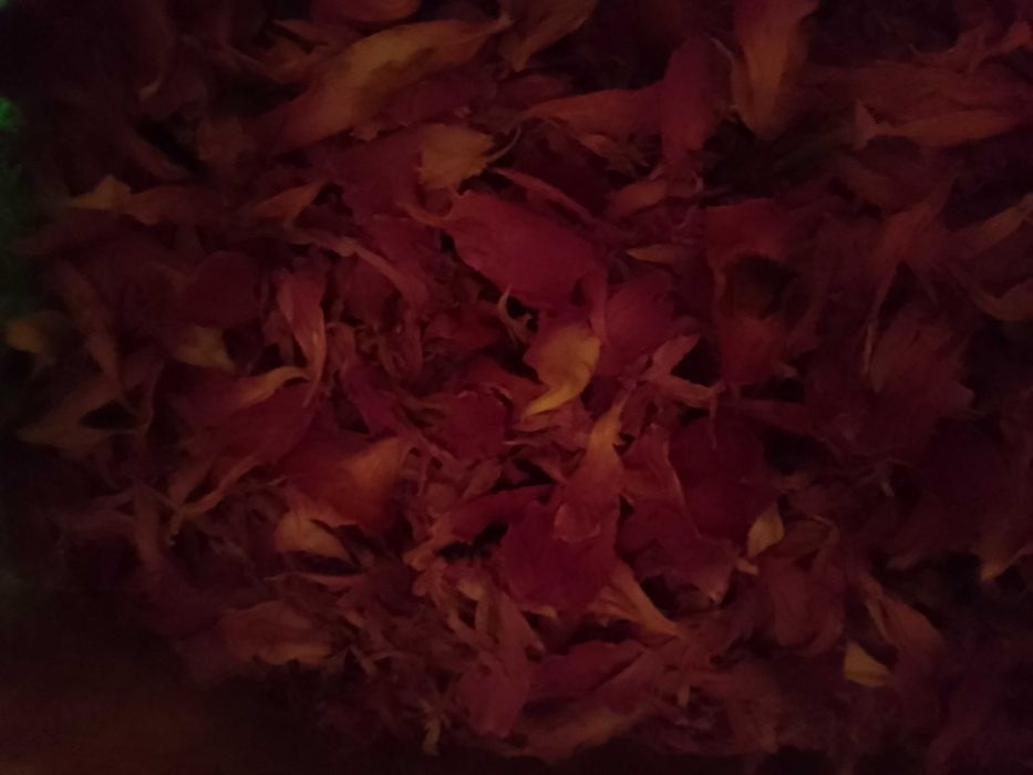 Vand petale BUJORI bio, nestropiti