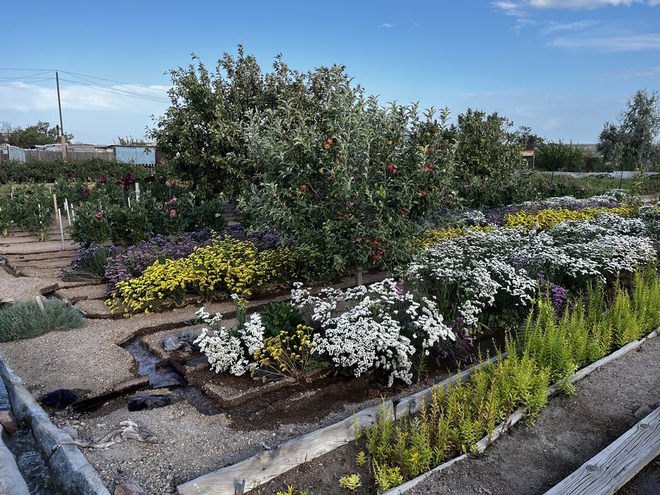 Продается дача на 1-ой водоколонке