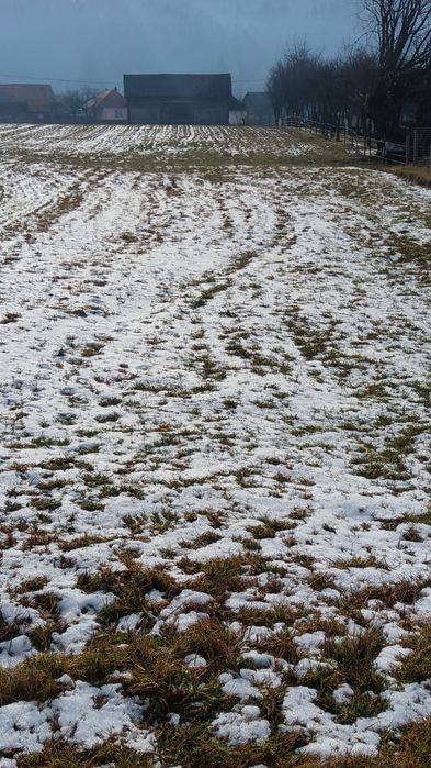 Grădină de vanzare 2200 mp