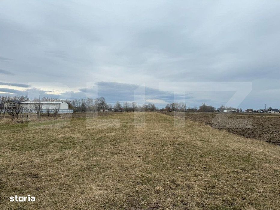 Teren intravilan, 5200MP, centura Radauti