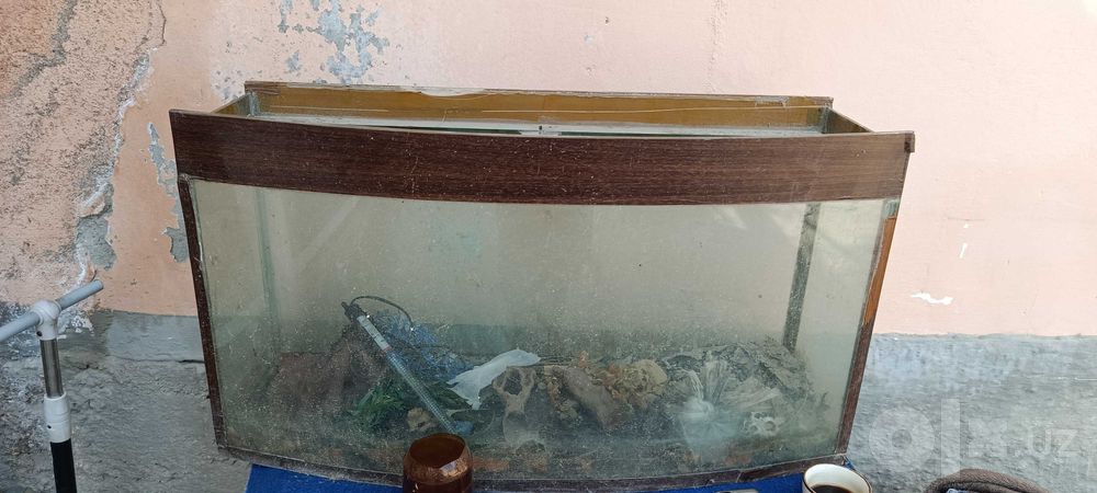 Отдам аквариум бесплатно