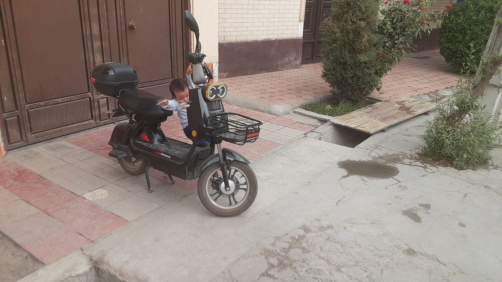 Drongo yaxshi holatda