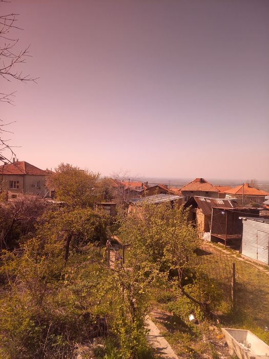 Мъжки слънчеви очила на Angel Regal