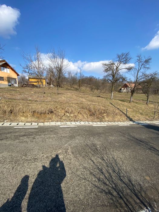 Urgent ! Casa de vanzare cu anexe si 24 de arii in Sisesti