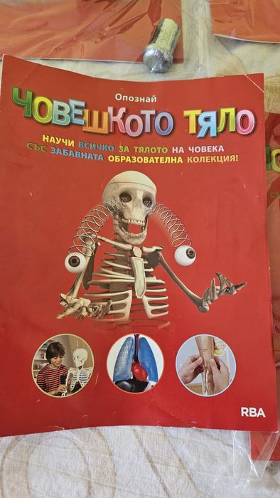 Опознай човешкото тяло