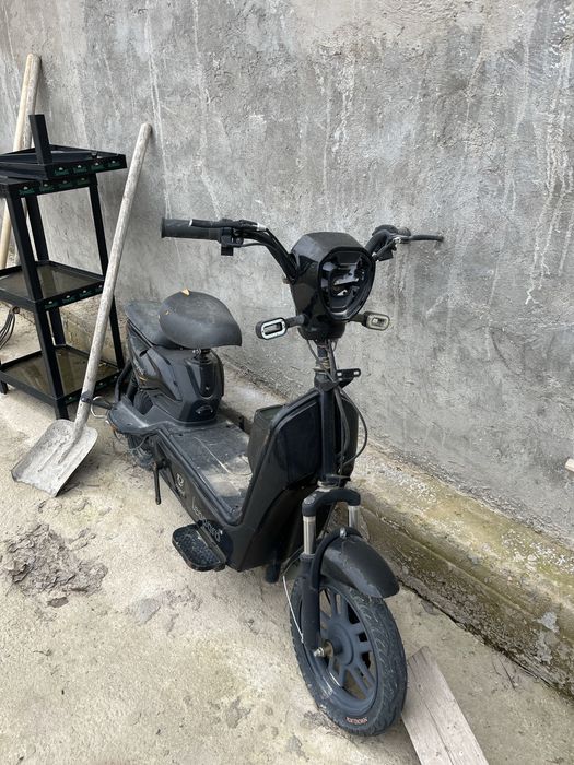 Электра велик сатылады