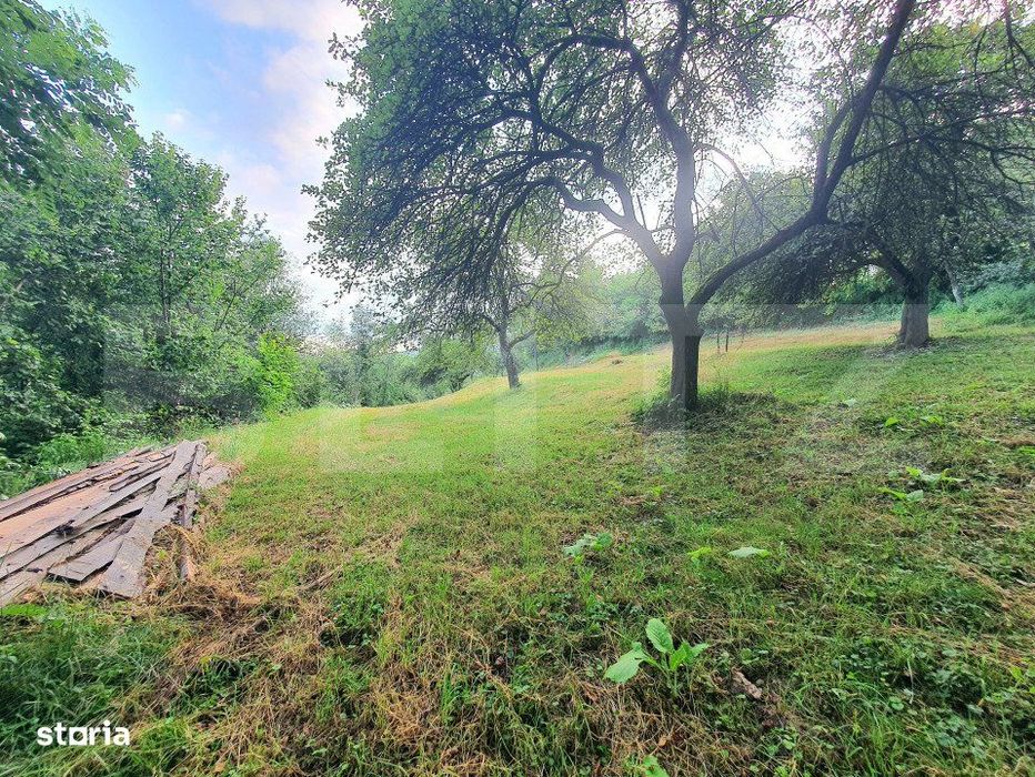 Teren intravilan, 31 ari, Ilva Mica, zona montana