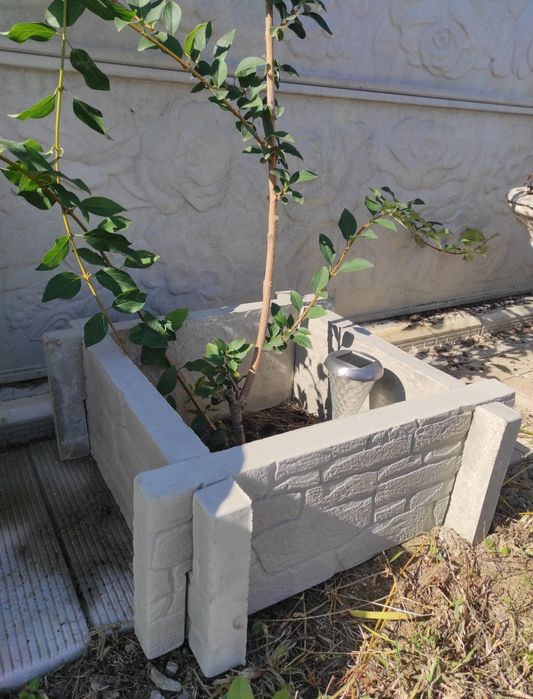 Jardinieră din beton