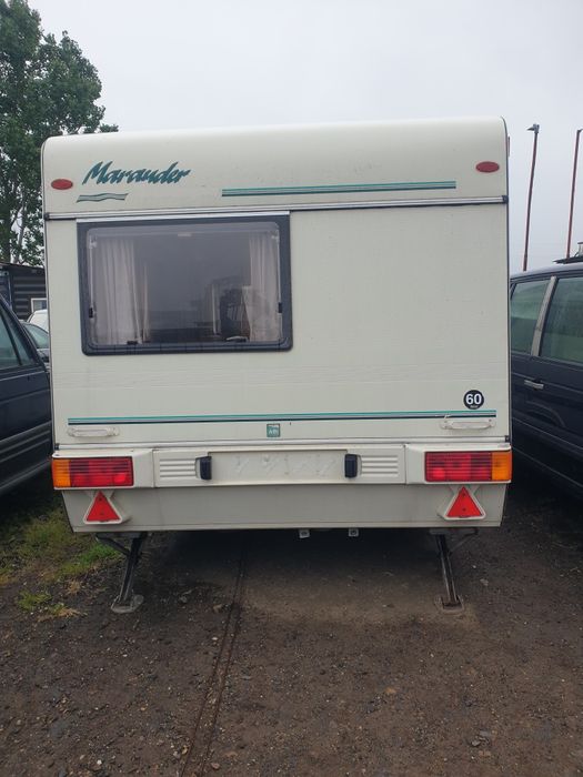 Rulota marander alba