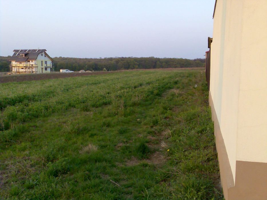 Teren INTRAVILAN 1000 mp Gradistea Ilfov