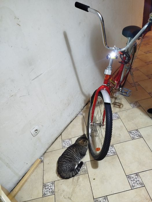 Велосипед, Кама. Россия.