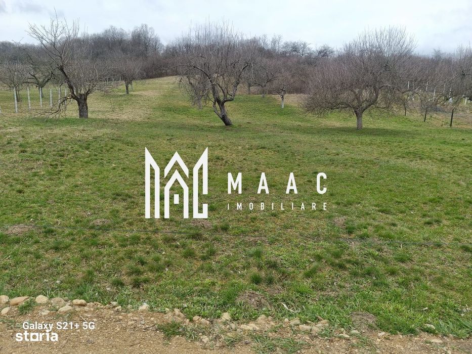 Teren 1400 mp | Valea Mărului | Parcelabil | Cabane / Retreat în natur