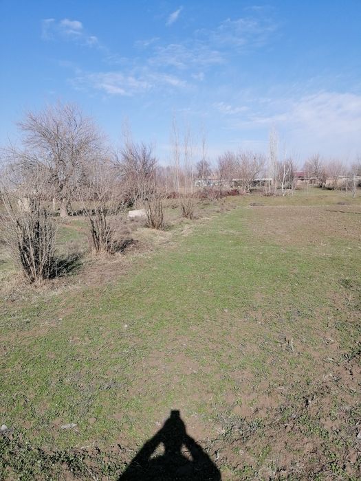 Yer sotiladi  nurobod tumani