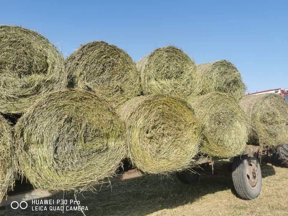 Baloți de lucernă 120  lei  și baloți de iarbă cu lucernă 110 Lei