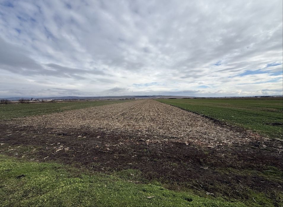 TEREN DE VÂNZARE – 9.600 MP | Șura Mica