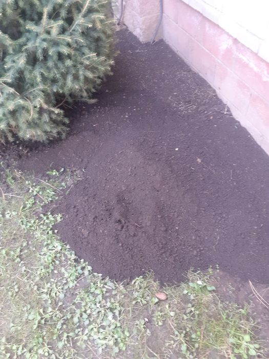 Черназем Черназем Черназем