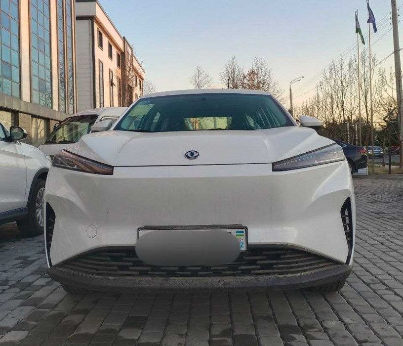 Dongfeng sky EV01 aeolus