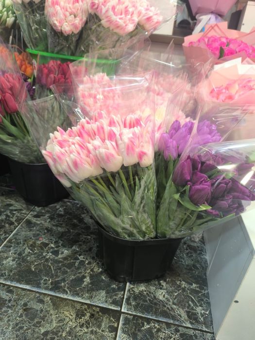 Тюльпаны оптом и в розницу