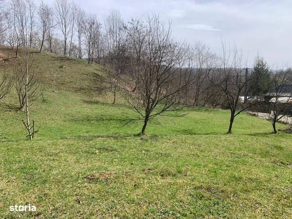 Teren Intravilan Cu Padure | Prahova| Provita De Sus| Breaza