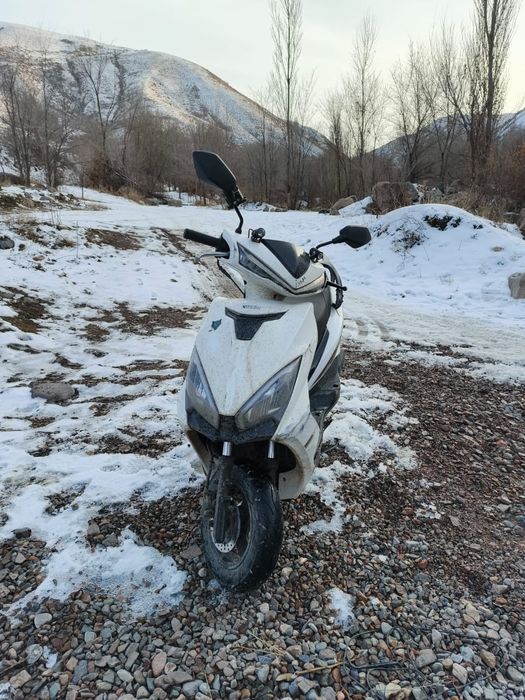 Продам мопед м12