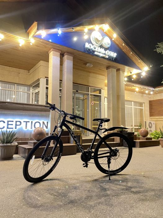 Велосипед MTB Alpha Mustang