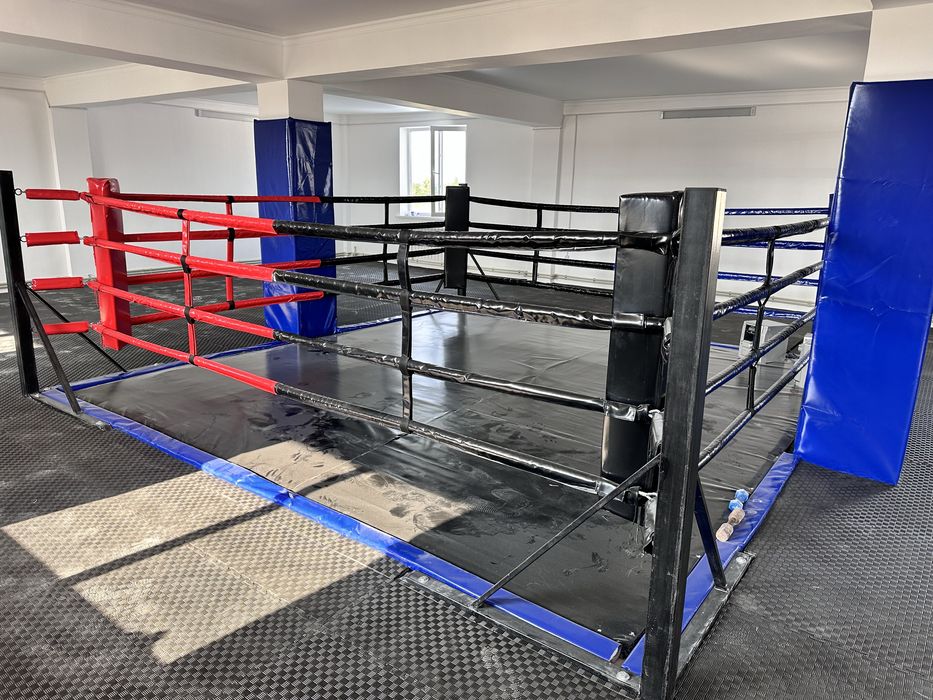 Боксерский ринг, борцовские ковры, татами, октагон