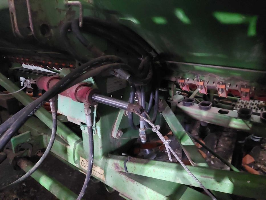 Semanatoare paioase Amazone