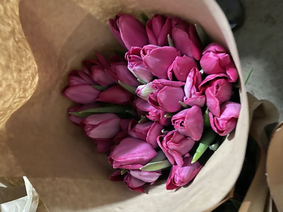 Тюльпаны оптом и в розницу