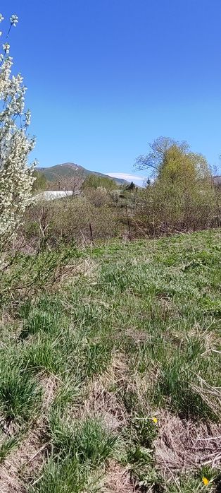 Продам участок 25 соток в с.Топиха