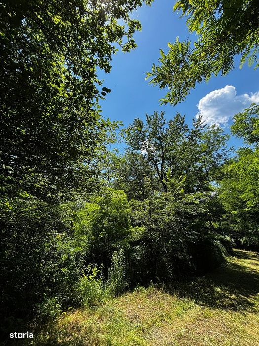 Teren Padure 6857 mp. intravilan Com Bujoreni-Valcea