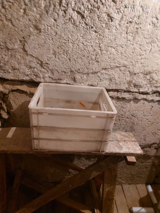 Продам  ящики  пластиковые