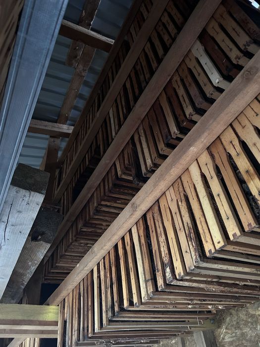 Lazi stupi si rame de cuib sau magazie