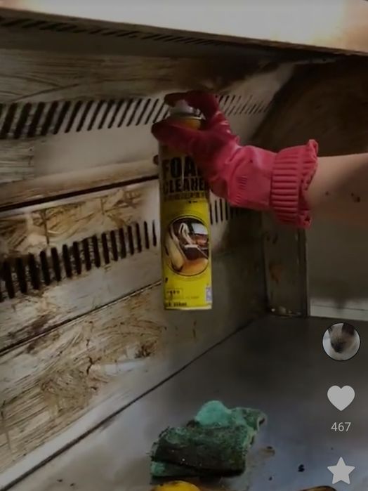 Универсальная очищающая пена  650 мл.