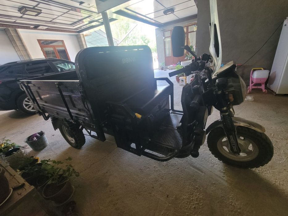 Bonvi muraveyi elektr