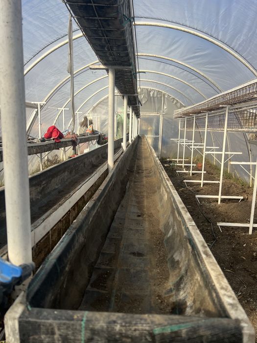 Structura metalica cu ghivece