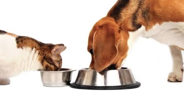 Натуральная еда для ваших животных!