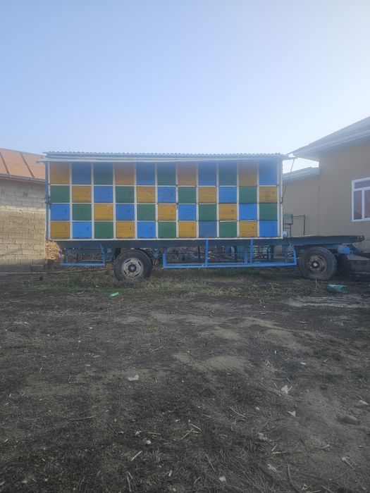 Kichik tadbirkorlik uchun