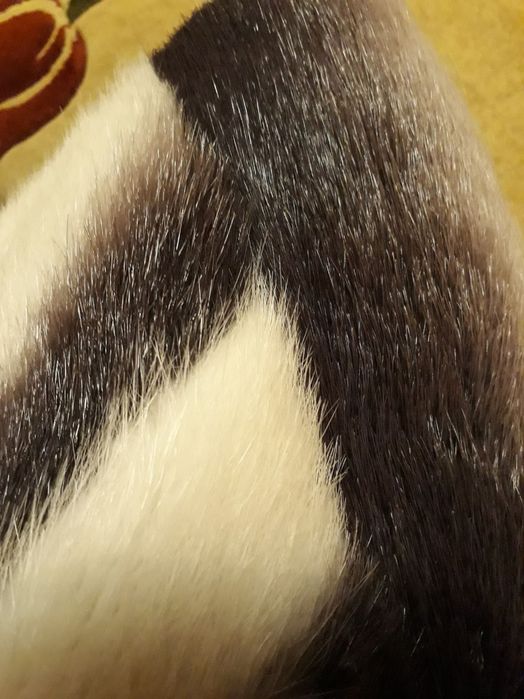 Шуба нутриевая женская