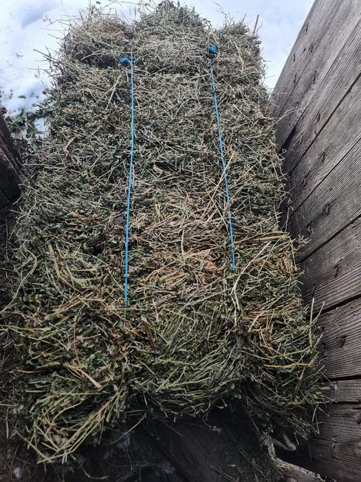 Baloți de lucernă dreptunghiulari