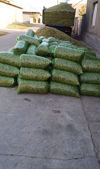 Selosss 17 000 DAN 20 kg