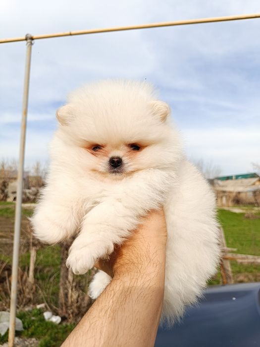 Красивые девочки и мальчики  &-