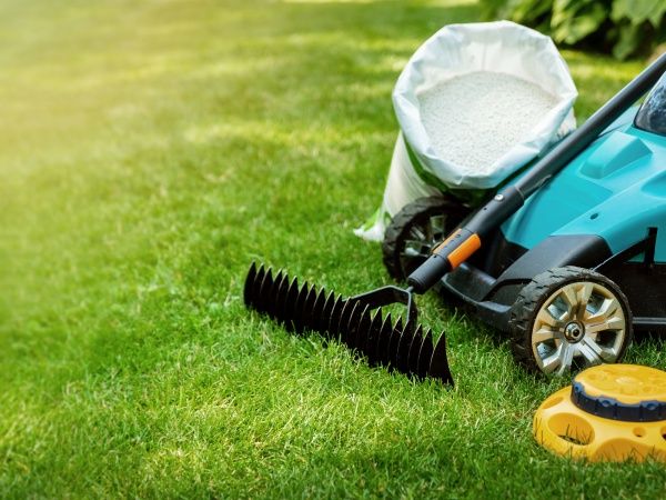 Услуги по стрижке и уход газона