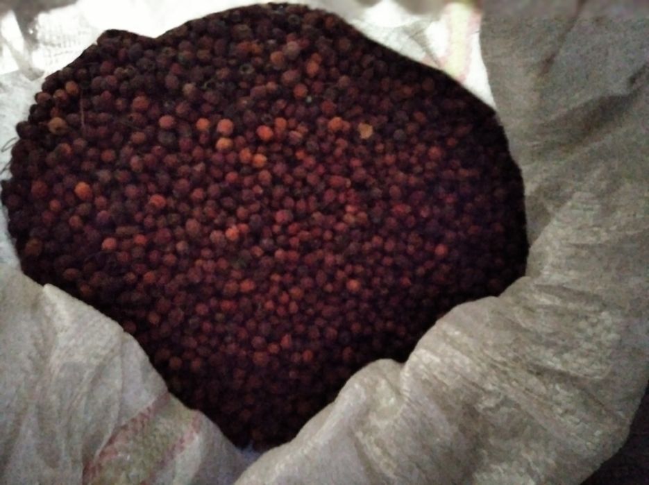 Vand paducel uscat si macesel