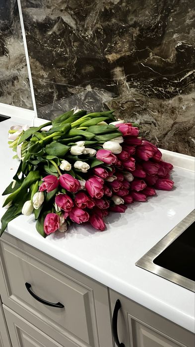 Тюльпаны оптом Алматы